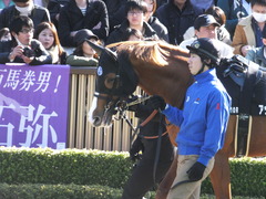 20150221 東京10R アメジストS(1600) アッシュゴールド 03