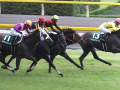 20150627 東京8R 東京JS(JG3) メジロサンノウ 15
