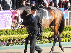 20170204 東京10R 箱根特別(1000) ビップレボルシオン 11