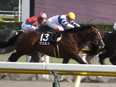 20160508 東京12R(1000)プエルト 16
