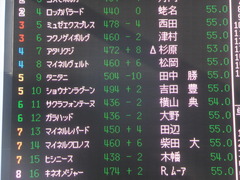 20131221 中山競馬場 ショウナンラグーン 02