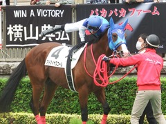 20181013 東京3R 2歳未勝利 アドマイヤスコール 17