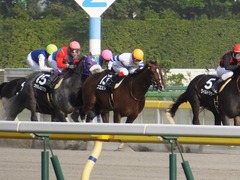 20160508 東京12R(1000)プエルト 15