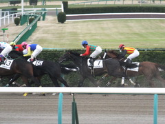 20150315 中山2R 3歳未勝利 コスモポッポ 11