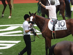 20161002 阪神5R 2歳メイクデビュー プンメリン 16