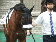 20180616 東京6R 3歳未勝利 ロジスカーレット 13