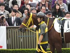 20141102 東京4R ノーブルクリスタル 06