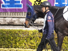 20170218 東京2R 3歳メイクデビュー タネノオー 05