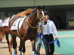 20141026 東京4R ラッシュアタック 02