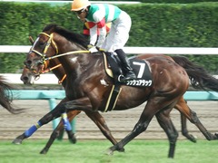 20180917 中山9R 白井特別(1000) ラッシュアタック 17