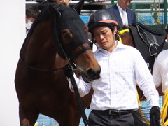 20170416 中山8R 鷹巣山特別 (1000) トーセンカナロア 12