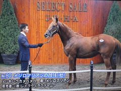 メジロマリアンの2016