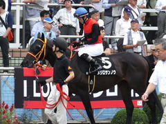 20150926 中山8R 清秋JS メジロサンノウ 09