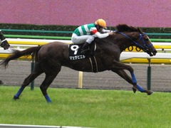 20150621 東京10R 芦ノ湖特別 マッサビエル 20