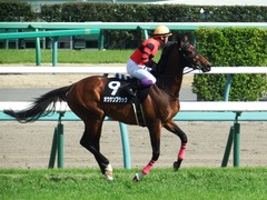 20180325 中山10R 美浦S(1600) オウケンブラック 14