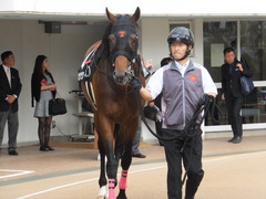 20170930 中山10R 習志野特別(1000) オウケンブラック 07