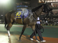20140827 大井11R 重賞 メリーウェザー 06