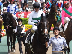 20160514 東京5R 3歳牝馬未勝利 ツボミ 17