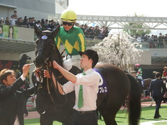 20180401 阪神11R 大阪杯(G1) サトノノブレス 06