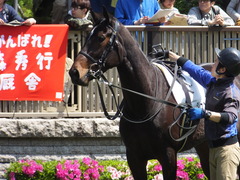 20150426 東京1R 3歳未勝利 ジュンコアー 08