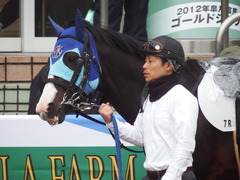 20190323 中山7R (500) アドマイヤムテキ 04