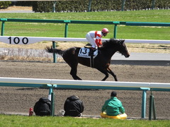 20140321 中山4R ダノンジャガー 11