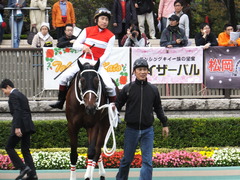 20151031 東京10R 赤富士S ショウナンアポロン 13