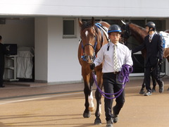 20161204 中山3R 2歳未勝利 メガポリゴン 02