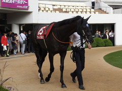 20150927 中山11R オールカマー サトノノブレス 09