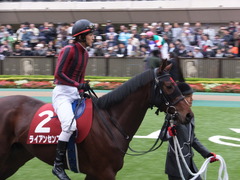 201301109 東京 ライアンセンス 09