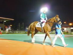 20140622 大井8R ライトハーティド 08