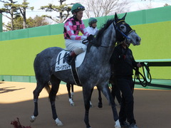 20150117 中山5R 3歳未勝利 グローリアスレイ 11