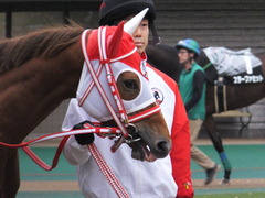 20151123 東京10R 鷹巣山特別 レーヌドブリエ 03