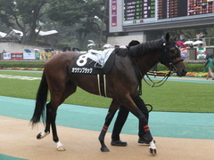 20141012 東京10R レジェンドTC オウケンブラック 08