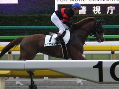 20170618 東京7R 33歳上500万下 ホウオウマリリン 12