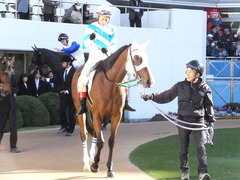 20151226 中山2R 2歳未勝利 カズノメガミ 09