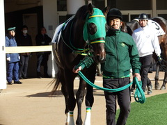 20171228 中山4R 2歳未勝利 アイコンタクト 04