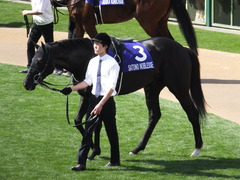 20140504 京都11R 天皇賞春 サトノノブレス 13