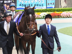 20161030 東京11R 天皇賞・秋(G1) モーリス 12