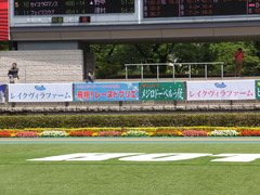 20170527 東京10R 葉山特別(1000) レーヌドブリエ 01