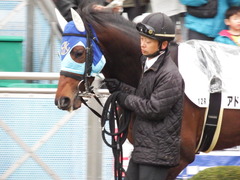 20180108 中山12R (4上500) アドマイヤシナイ 08