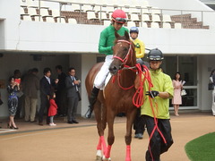 20180929 中山5R 2歳牝馬メイクデビュー オトナノジジョウ 17