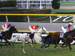 20151129 東京11R ジャパンカップ(G1) 13