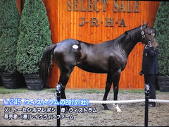 ウィストラム15