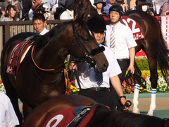 20170528 東京12R 目黒記念(G2) マイネルサージュ 11