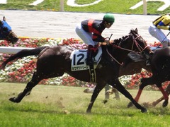 20170604 東京4R 3歳未勝利 ホウオウドリーム 26