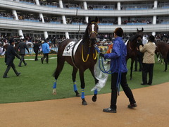 20150308 中山5R 3歳未勝利 ラッシュアタック 08