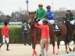 20190310 中山11R アネモネS 3歳牝馬OP オトナノジジョウ 25