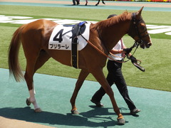 20170521 東京6R 3歳500万下 ブリラーレ 09