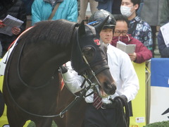 20190331 中山3R 3歳未勝利 ショウナンサジン 13